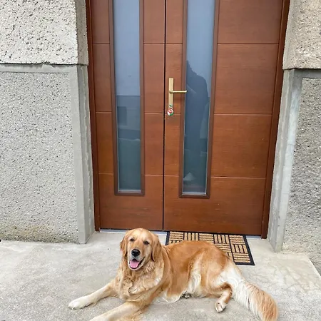 Apartmán Lemadin - Maros